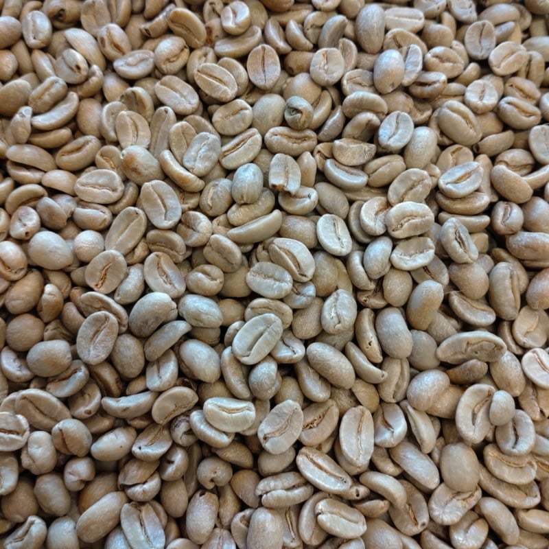 ドミニカ：バラオナ AA(生豆時重量200g) | 自家焙煎珈琲専門店 ざ