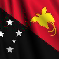 パプアニューギニア：バージンマウンテン（生豆時重量200ｇ）