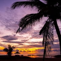 インドネシア：トラジャ・カロシ・ランテカルア（生豆時重量200ｇ：インドネシア共和国）