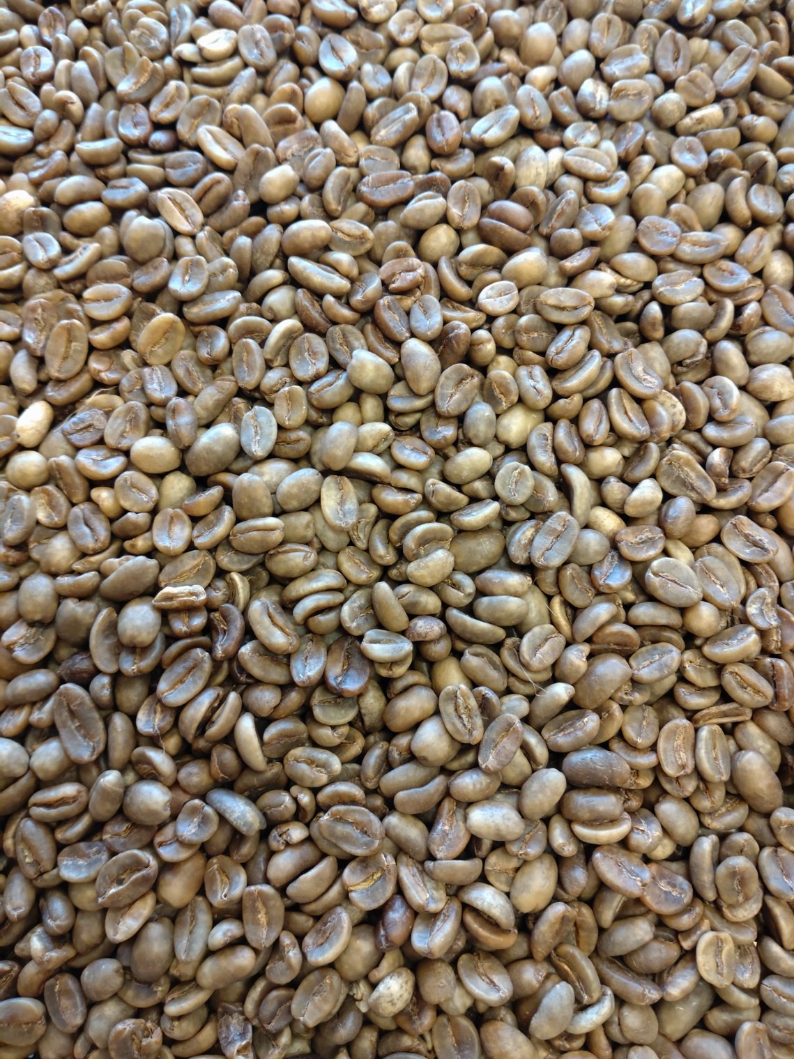 デ・カフェ モカ(生豆時重量200g) | 自家焙煎珈琲専門店 ざ・ばいせん