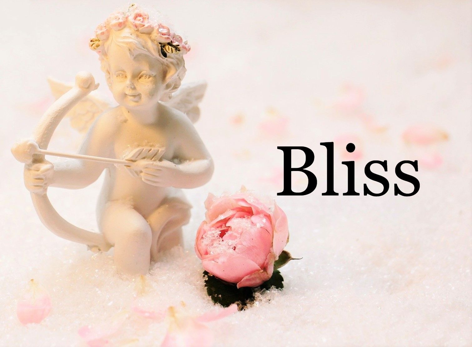 Bliss