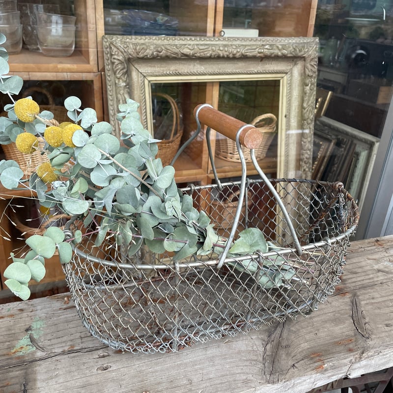 錆びたワイヤーバスケット(かごのみ) | ladybird