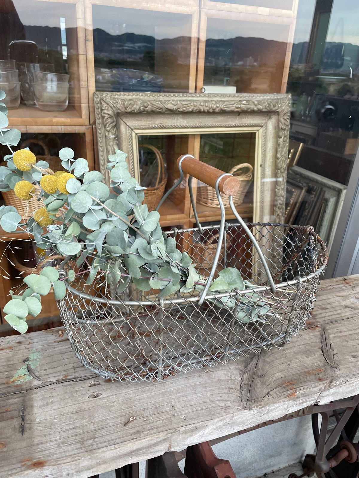 アンティーク　古道具　鳥かご　かご　ワイヤーかご　錆　シャビー アンティーク 古道具 鳥かご かご ワイヤーかご 錆 シャビー 【公式通販】