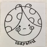 ladybird