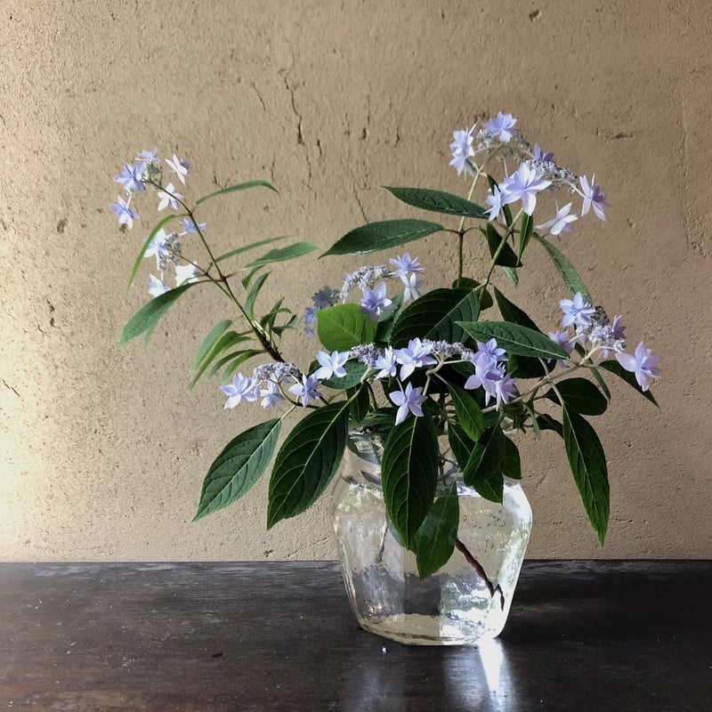 水盆　花器　無名堂　未使用　グリーン系色 水盆 花器 無名堂 未使用 グリーン系色