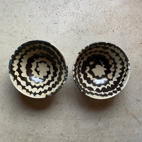 掛谷康樹 | STORES