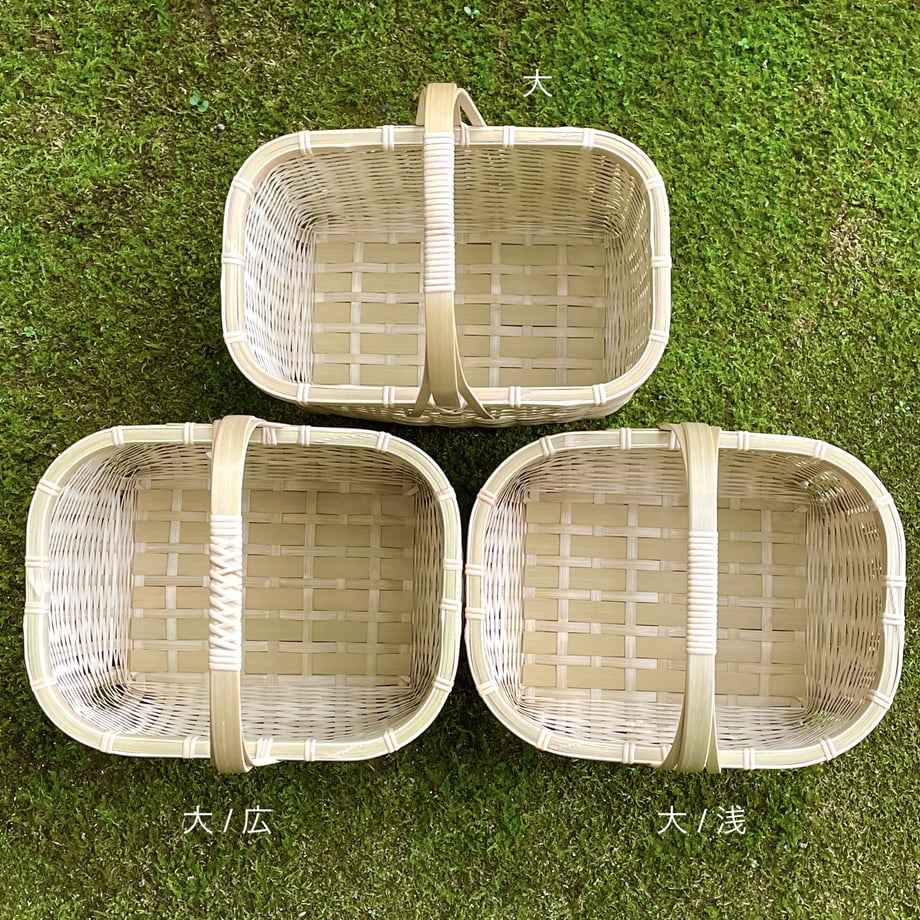 62d900cbdbe744704f4c446b