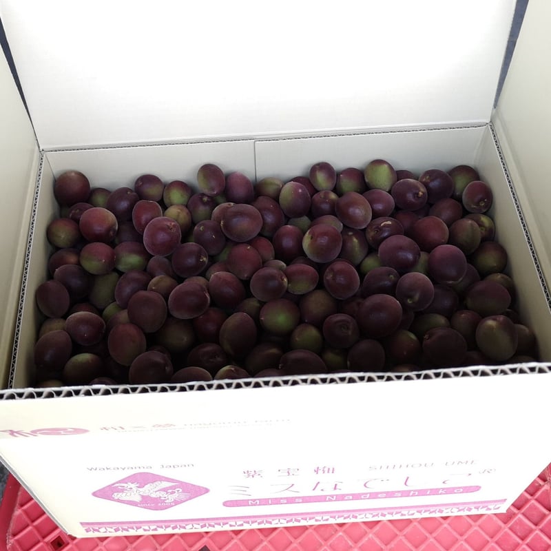 なでしこ Takayuki Hattori – 機動戦艦ナデシコ CD-001 – CD (), 1996