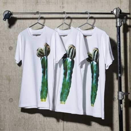 一輪挿しT-shirts_チューリップ