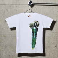 一輪挿しT-shirts_サボテン