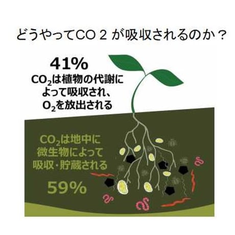 ブラジル　モンテカルメロ　カーボンネガティブ　：L（400g）