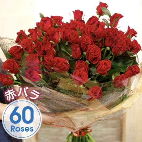 赤バラの花束　60本