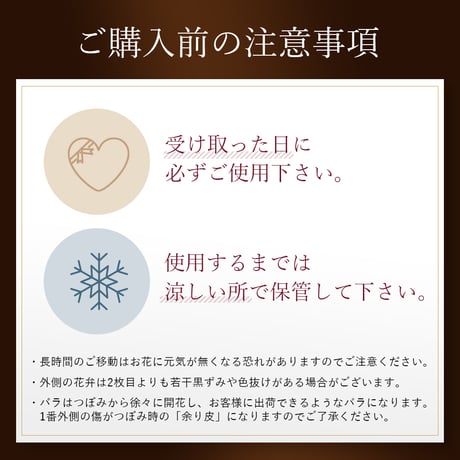 赤バラの花束 108本