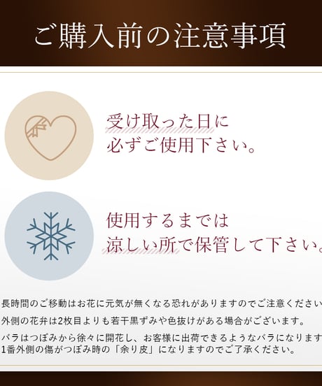 赤バラの花束 108本