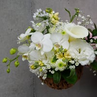 【 Memorial flower arrangement/お供えアレンジメント】　S M Lサイズ