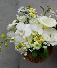 【 Memorial flower arrangement/お供えアレンジメント】　S M Lサイズ