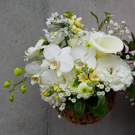 【 Memorial flower arrangement/お供えアレンジメント】　S M Lサイズ
