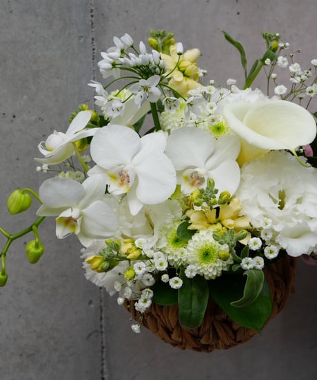【 Memorial flower arrangement/お供えアレンジメント】　S M Lサイズ