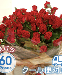 薔薇○コメント下さい 279 Rose seedlings production field [2024.9.25] - YouTube