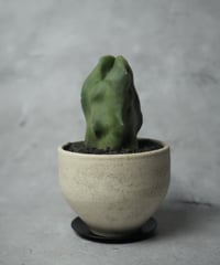 福禄寿