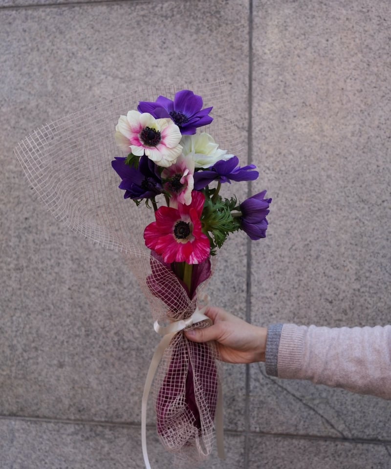 1月アネモネMIXブーケ】（お届け日：1月12日～31日） | PLANAGE FLOWER