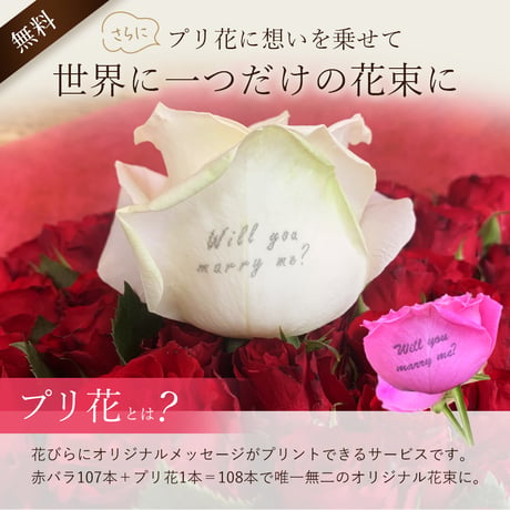 赤バラの花束 108本