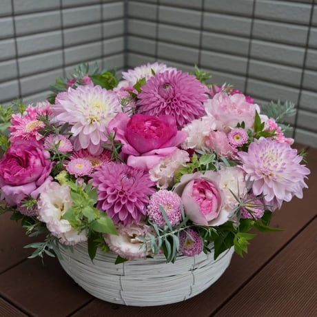 arrangement:LLサイズ