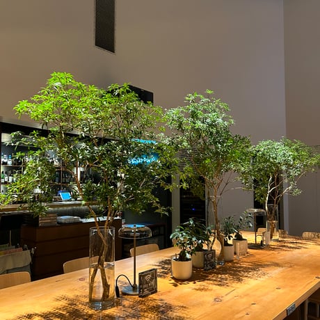 Flower decor(定期装花)