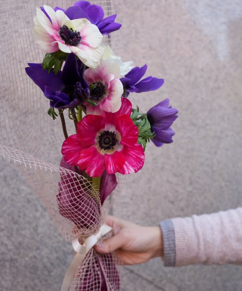 1月アネモネMIXブーケ】（お届け日：1月12日～31日） | PLANAGE FLOWER