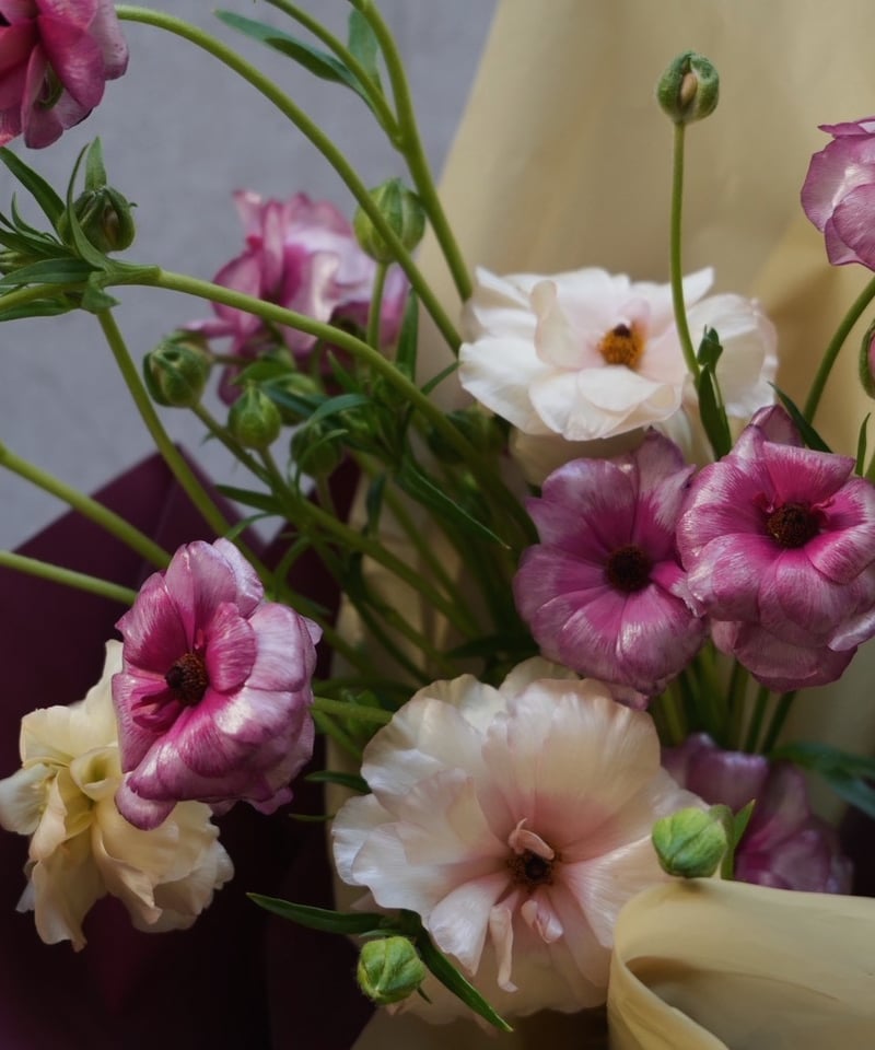 3月ラナンキュラスラックスMIXブーケ】（お届け日：3月1日～31日