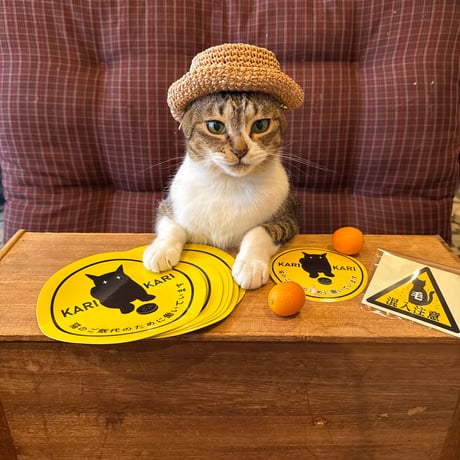 ココニャエンタープライズ