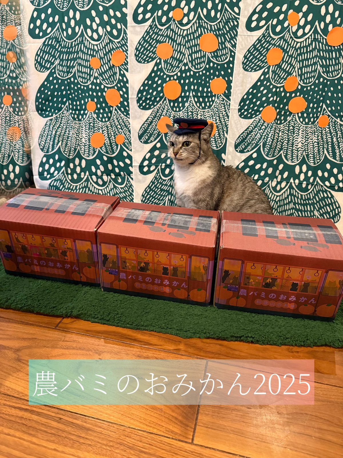 農バミのおみかん2025 2kg相当＋【おまけ】 | ココニャエンタープライズ