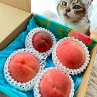 【農ラミの桃】美味しい桃をちょっとだけよ　農ラミの桃４個入