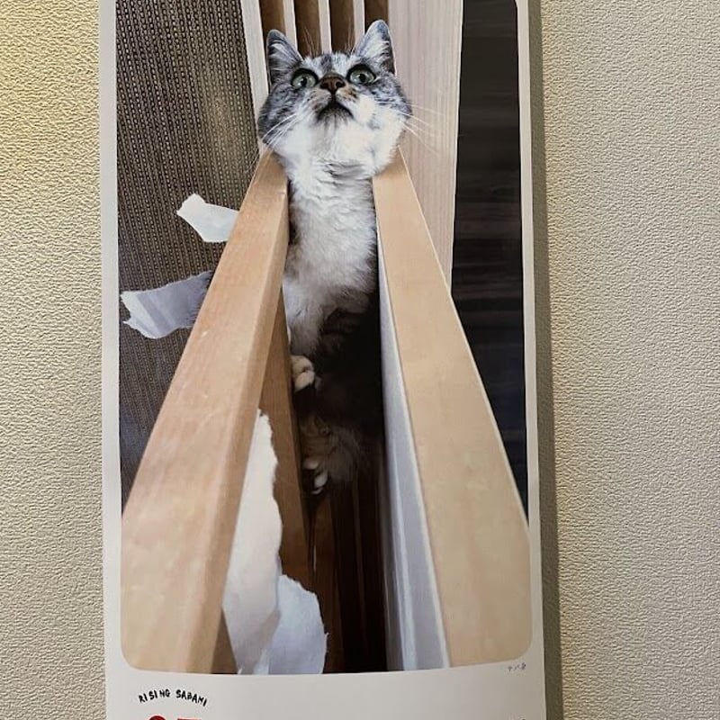 日めくりカレンダー「ライジングサバ身」 | ココニャエンタープライズ