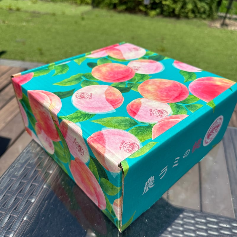 桃 農ラミの桃2025】美味しい桃をちょっとだけよ～桃4個入 | ココニャ