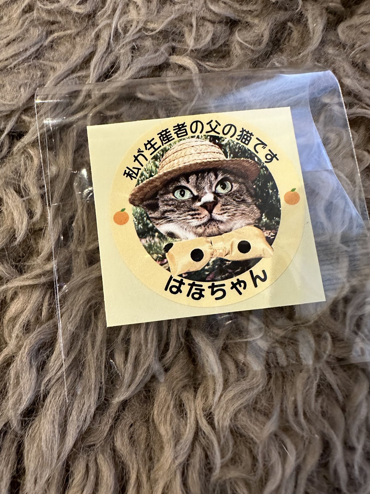 はなちゃん おまとめ同梱 fit=scale-down,w=1200