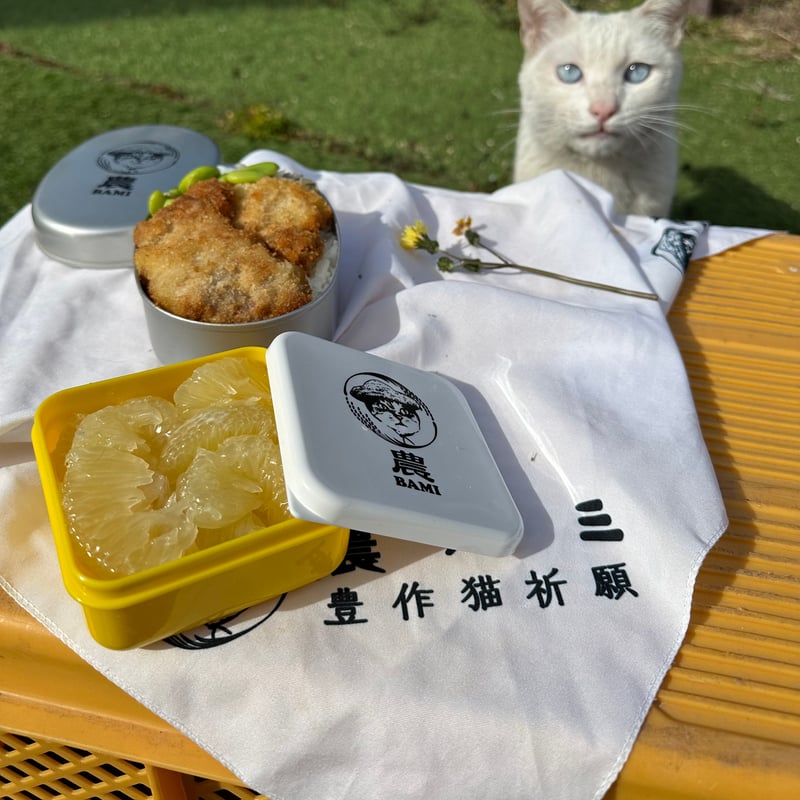 ふるさと農バミ～土佐文旦編 | ココニャエンタープライズ