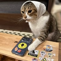 猫為労働マシュマロシール～交換するバミ！