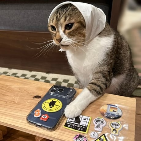 ココニャエンタープライズ
