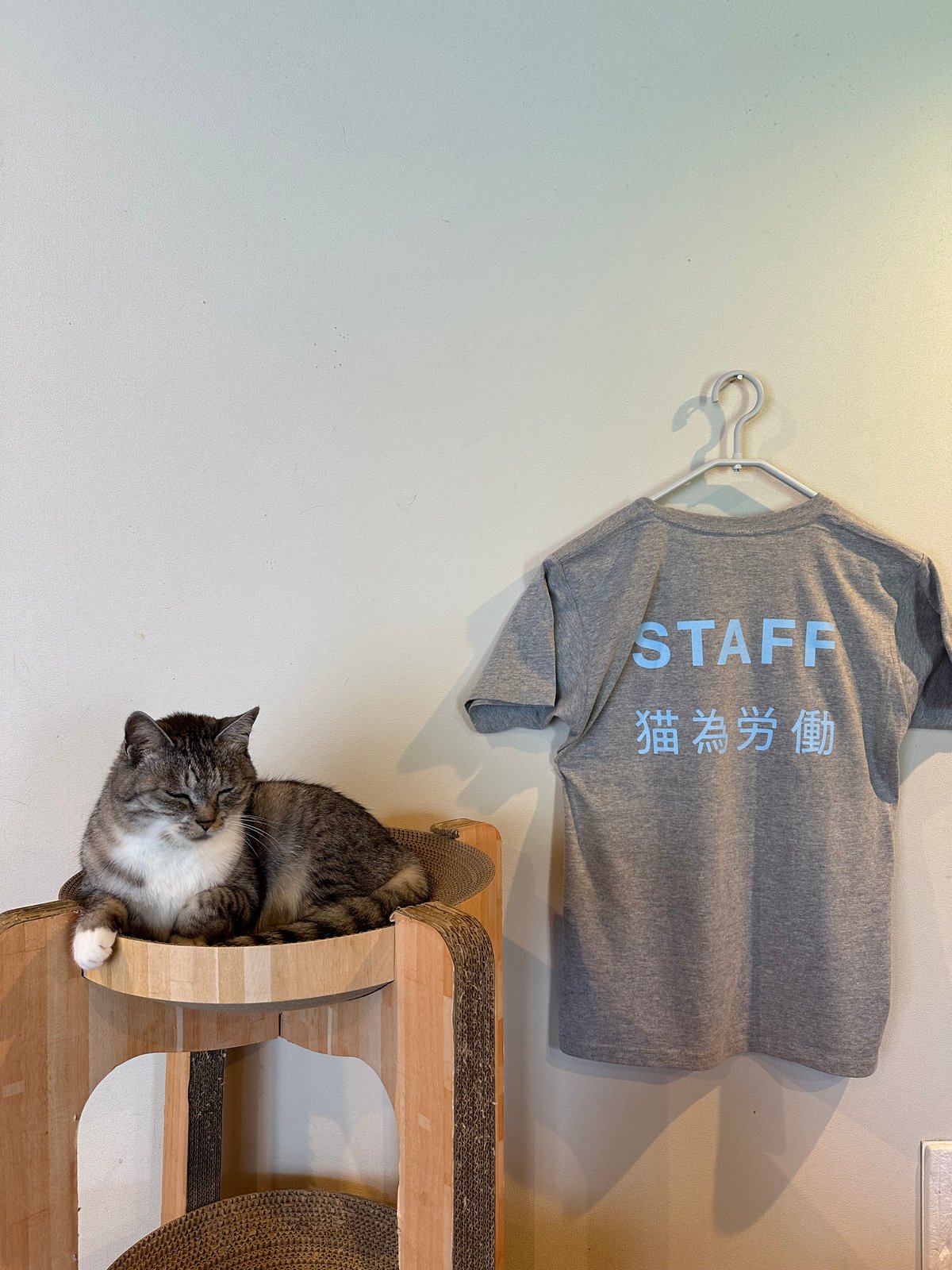 猫為労働Tシャツ2024（グレイ サバ身カラー） | ココニャエンタープライズ