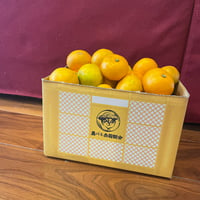 【おみかんMAX】農バミのおみかん～約2.6kg～2.8kg【2022箱】