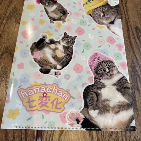 はなちゃん七変化クリアファイル（２枚SET）＆梅神うちわ