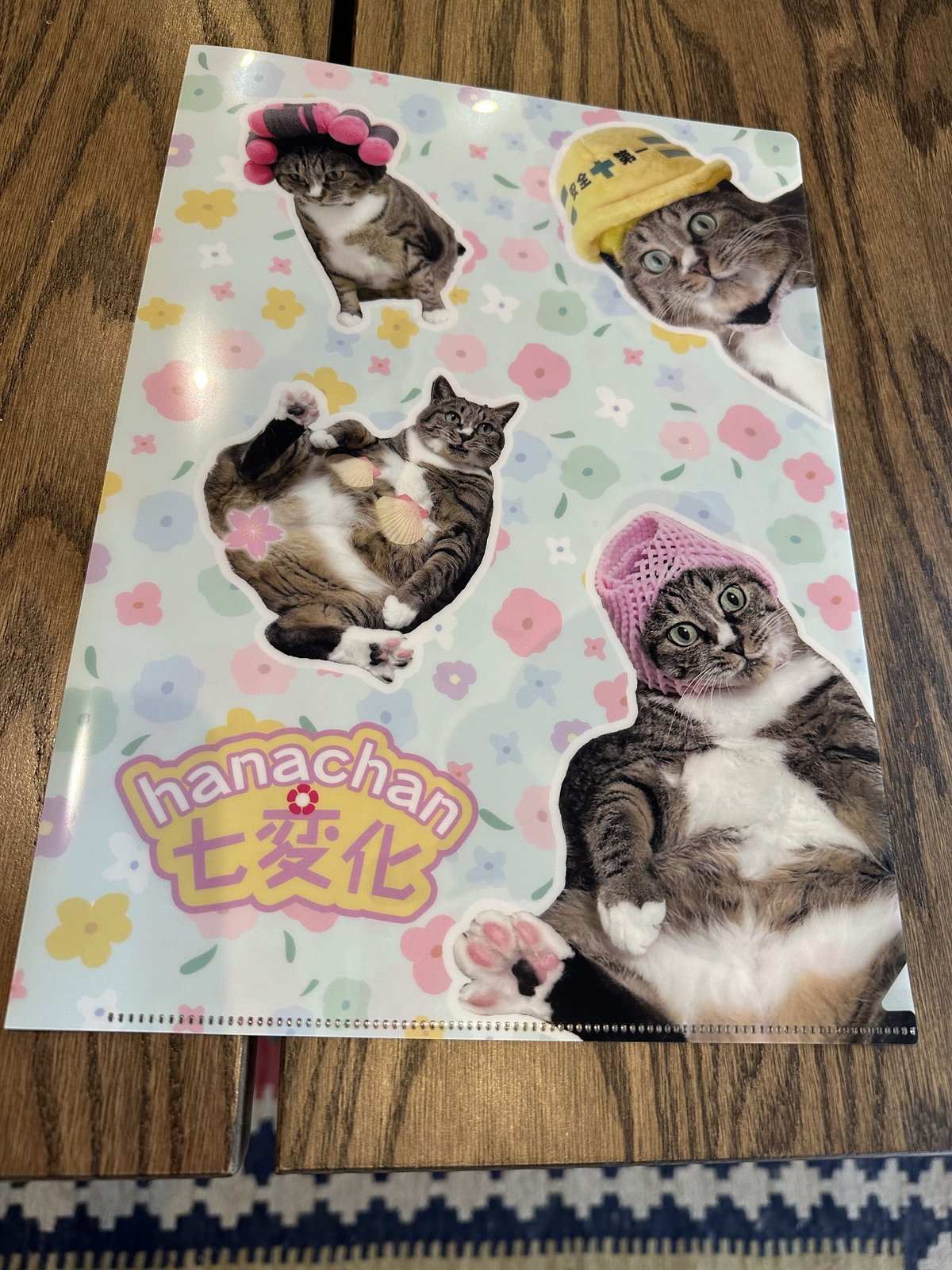 はなちゃん おまとめ同梱 はなちゃん七変化クリアファイル（2枚SET）＆梅神うちわ | ココニャ