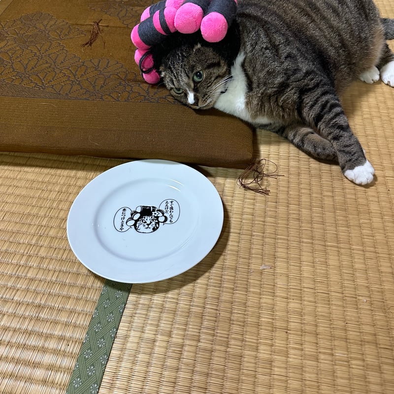 はなちゃんオカン～ほんのり優しいプレート（直径19cm