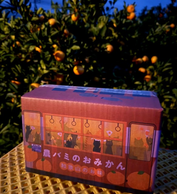 農バミのおみかん2025 2kg相当＋【おまけ】 | ココニャエンタープライズ