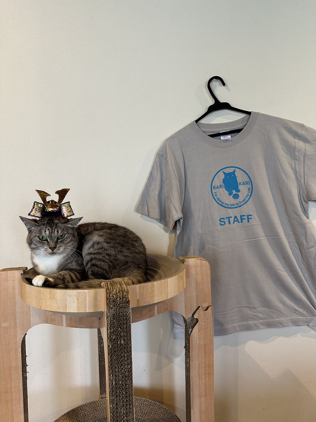 アンドエルシー　&ellecy　働き者の猫シャツ アンドエルシー&ellecy働き者の猫シャツ