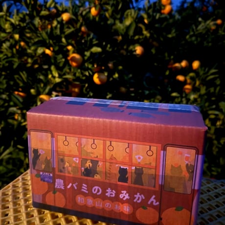 CATEGORY みかん | ココニャエンタープライズ