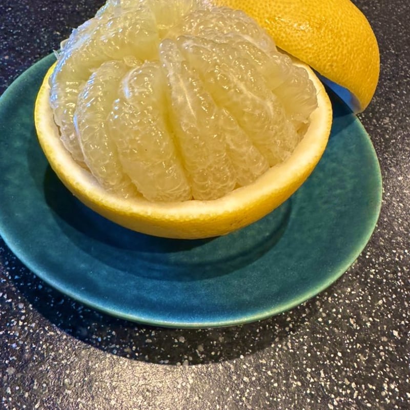 ふるさと農バミ～土佐文旦編 | ココニャエンタープライズ