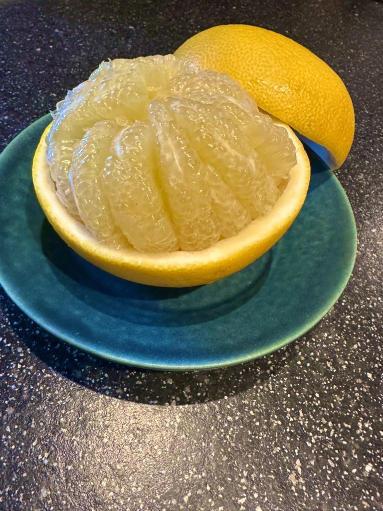 ふるさと農バミ～土佐文旦編 | ココニャエンタープライズ