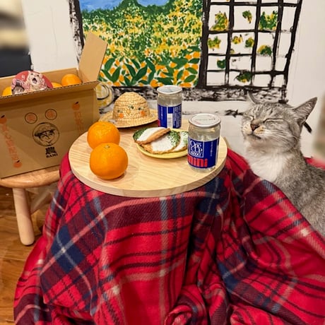 ココニャエンタープライズ